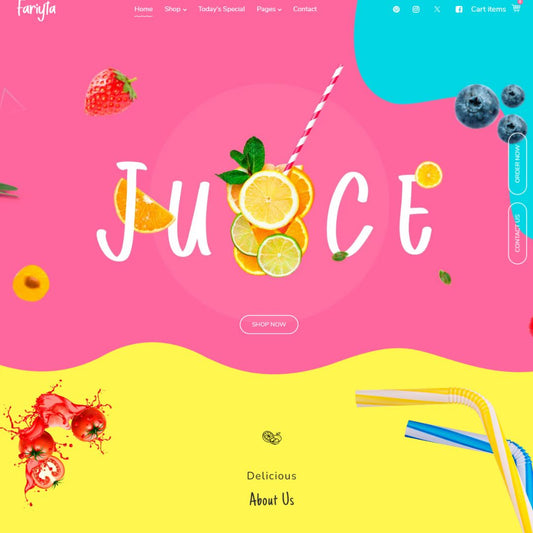 Organic Food Shop - Zilancer LLC - Shopify Development Services Agency
