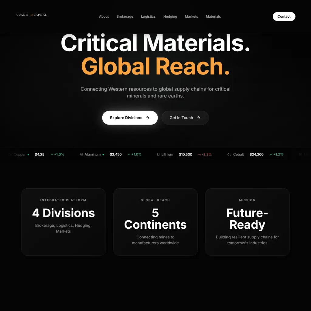 About This Project