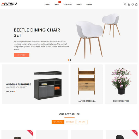 Home Furniture Shop